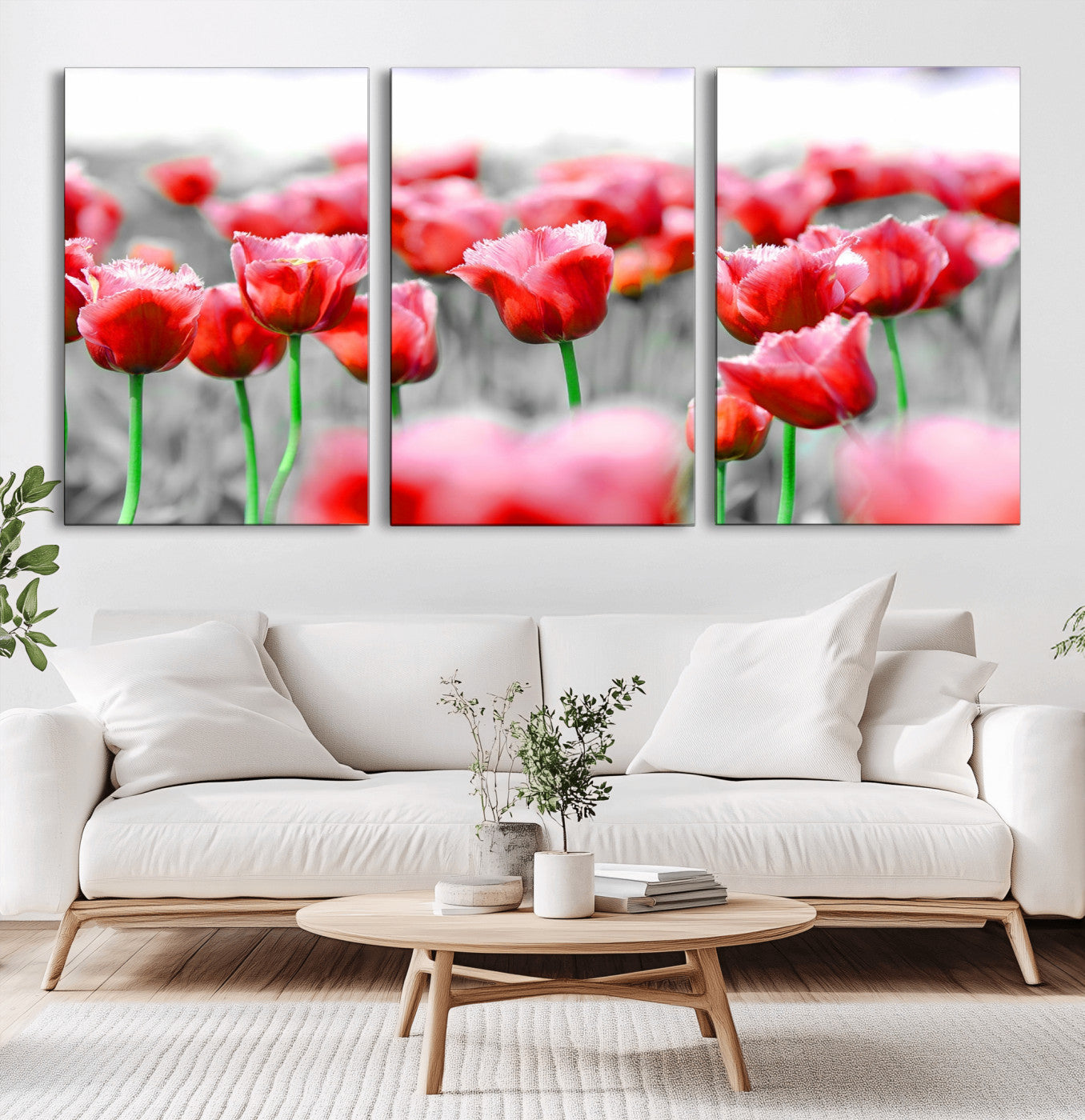 44554-MGV-CV-36X24-Vibrant red tulips stand out beautifully against a black-and-white background, making a striking decor piece perfect for any home