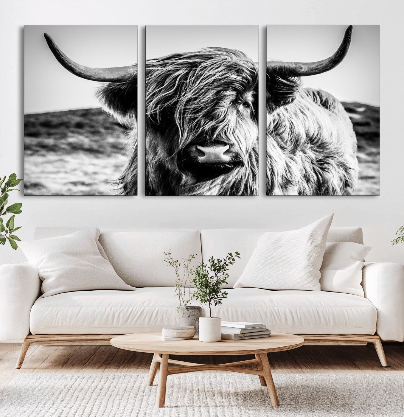 36979-MGV-CV-36X24-Striking black-and-white portrait of a Highland cow with flowing fur and majestic horns, perfect for rustic and elegant home or