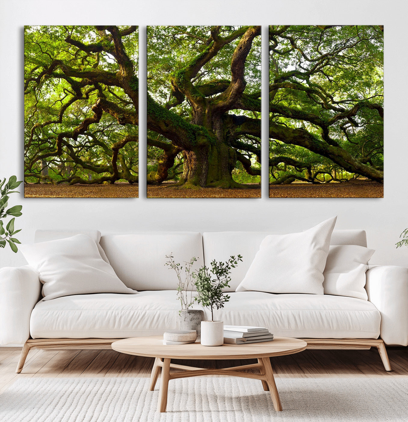 29407-MGV-CV-36X24-Ancient Oak Tree Wall Art – Majestic Nature Canvas Print, Large Tree Photography Decor for Living Room or Office