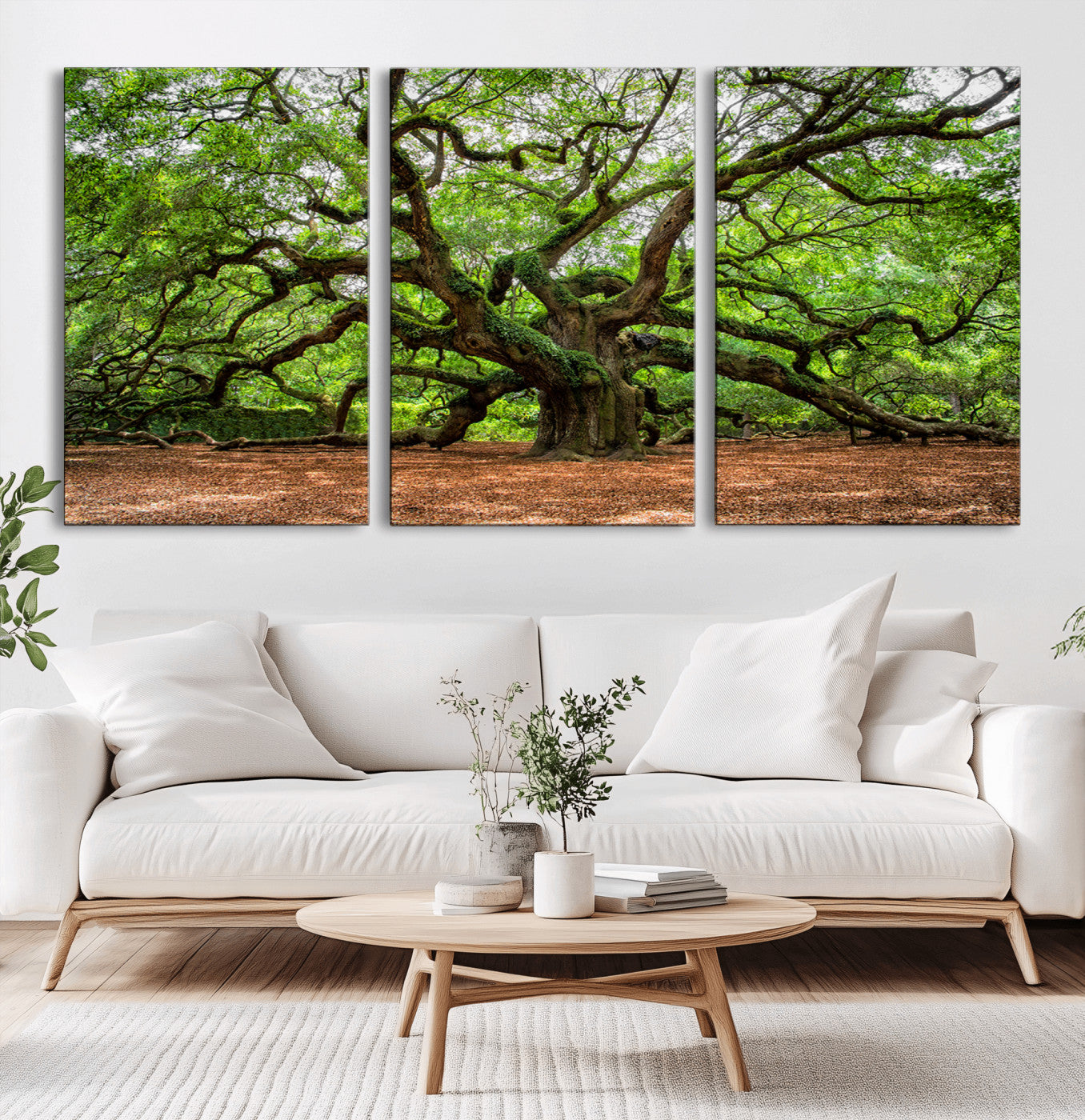 51255351-MGV-CV-36X24-Ancient Tree Wall Art – Majestic Oak Canvas Print, Large Nature Photography, Sacred Forest Landscape Wall Décor, Wisdom Tree