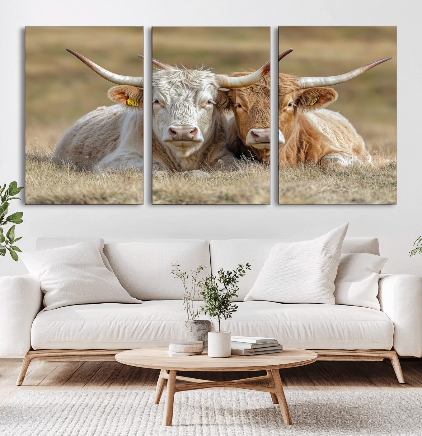 53388593-MGV-CV-60X30-3P-Cow Photography Wall Art Canvas Print, Framed Rustic Animal Decor Art Picture Print, Texas Cow Pair Perfect Western Farmhouse