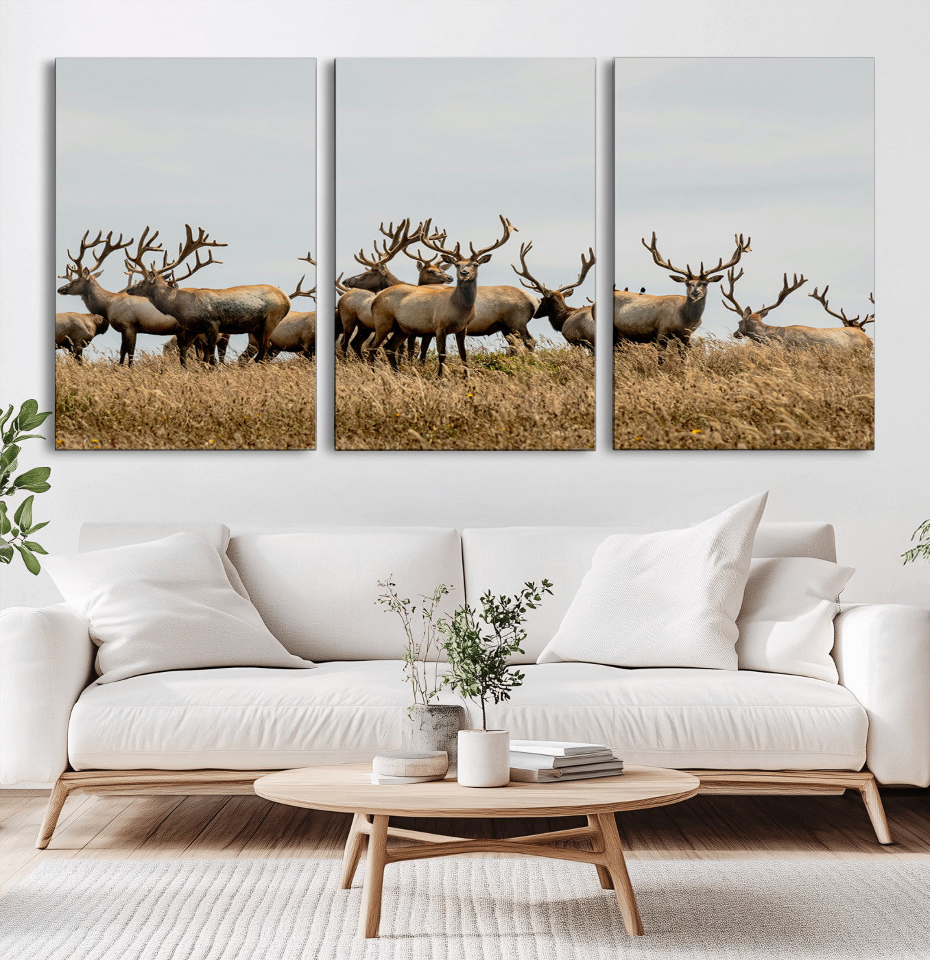 42170220-MGV-CV-36X24-Elk Herd Wall Art Canvas Print, Framed Wildlife Photography Art Picture Print, Majestic Antlers Perfect Rustic Wildlife Decor