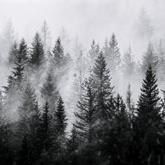 Landscapes Art Prints