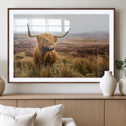 79391-MGV-CV-36X24-Majestic Highland Cow in Misty Scottish Moorland – Rustic Natural Charm, Perfect for Unique Home or Office Decor