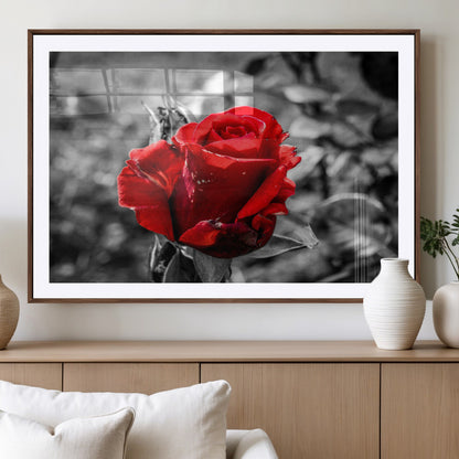 84671-MGV-CV-36X24-Red Rose Wall Art – Vibrant Single Bloom Canvas Print with Black and White Background, Elegant Floral Decor for Living Room,