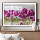 30632-MGV-CV-36X24-Purple Tulip Field Wall Art – Beautiful Spring Flowers Canvas Print with Soft Focus and Bright Sky, Ideal Floral Decor for Home or