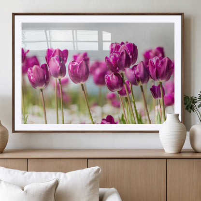30632-MGV-CV-36X24-Purple Tulip Field Wall Art – Beautiful Spring Flowers Canvas Print with Soft Focus and Bright Sky, Ideal Floral Decor for Home or
