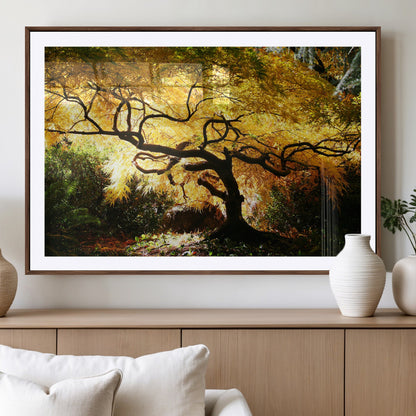 19067-MGV-CV-36X24-Golden Canopy Wall Art – Panoramic Autumn Tree Canvas Print, Warm Seasonal Decor for Living Room, Office or Garden Space