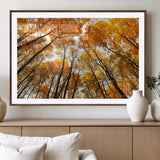 11823-MGV-CV-36X24-Golden Autumn Tree Canopy Wall Art – Stunning Fall Forest Leaves Print, Warm Seasonal Nature Decor for Home, Office or Cabin