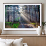 42047-MGV-CV-36X24-Sunlit Forest Path Wall Art – Nature Canvas Print, Serene Woodland Landscape, Perfect Home & Office Decor for Calm and Tranquil