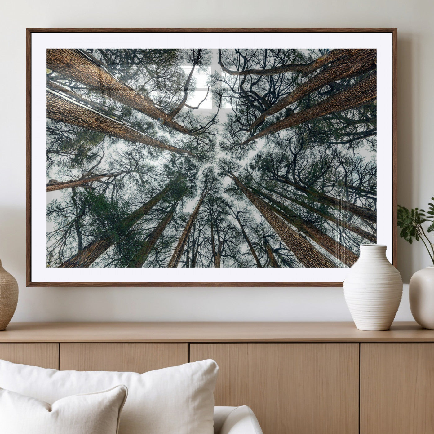 18790-MGV-CV-36X24-Pine Canopy Wall Art – Panoramic View of Towering Pines Canvas Print, Nature-Inspired Decor for Office, Cabin or Living Room
