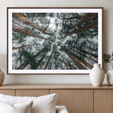 18790-MGV-CV-36X24-Pine Canopy Wall Art – Panoramic View of Towering Pines Canvas Print, Nature-Inspired Decor for Office, Cabin or Living Room