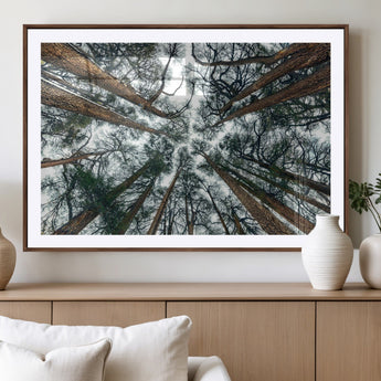 18790-MGV-CV-36X24-Pine Canopy Wall Art – Panoramic View of Towering Pines Canvas Print, Nature-Inspired Decor for Office, Cabin or Living Room