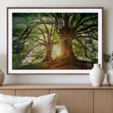 52150-MGC-FP-36x24_Walnut-Majestic Tree Wall Art – Large Nature Canvas Print with Sunlight Through Branches, Rustic Forest Decor for Living Room, Bedroom or