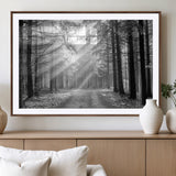 39665-MGC-FP-36x24_Walnut-Black and White Forest Path Wall Art – Sunlight Rays in Trees Canvas Print, Nature Landscape Decor for Living Room