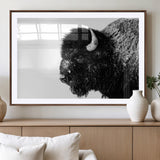 68780-MGC-FP-36x24_Walnut-Bison Close-Up Wall Art – Black and White Buffalo Canvas Print, Rustic Wildlife Photography Decor for Living Room, Office, or