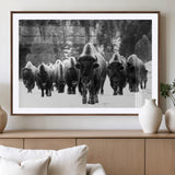 62434-MGV-CV-36X24-Bison Herd Wall Art – Majestic Black and White Buffalo Canvas Print, Wildlife Nature Photography Decor for Living Room, Office or