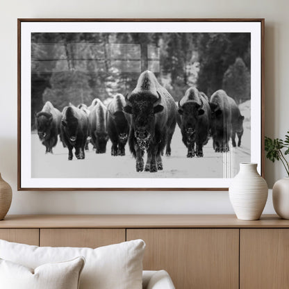 62434-MGV-CV-36X24-Bison Herd Wall Art – Majestic Black and White Buffalo Canvas Print, Wildlife Nature Photography Decor for Living Room, Office or