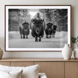 45287-MGV-CV-36X24-Bison Herd Wall Art – Black and White Buffalo Snow Road Canvas Print, Rustic Wildlife Decor for Cabin, Lodge or Living Room