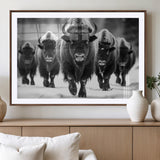 79872-MGV-CV-36X24-Bison Herd Wall Art – Black and White Buffalo on Snow Canvas Print, Rustic Wildlife Decor for Lodge, Cabin, or Living Room