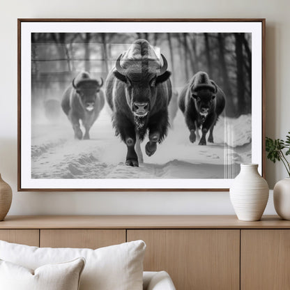 97552-MGV-CV-36X24-Black and White Bison Wall Art – Buffalo Herd Running in Snow Canvas Print, Rustic Wildlife Photography Decor for Cabin, Lodge, or
