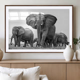 91685-MGV-CV-36X24-Elephant Herd Wall Art – Black and White Safari Canvas Print, African Wildlife Photography Decor for Living Room, Office or