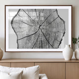98709-MGC-FP-36x24_Walnut-Tree Ring Wall Art – Black and White Canvas Print Rustic Wood Cross Section, Minimal Nature Inspired Decor for Living Room,