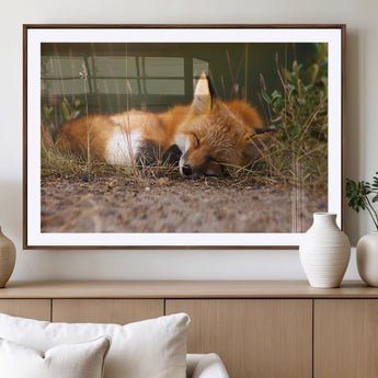 25085-MGV-CV-36X24-Sleeping Fox Wall Art Canvas Print, Framed Rustic Fox Art Picture Print, Wildlife Animal Perfect Rustic Farmhouse Decor Artwork