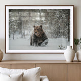43350-MGV-CV-36X24-Wild Bear in Snow Wall Art – Majestic Wildlife Photography Print, Winter Forest Nature Decor for Cabin, Lodge, Rustic Home,