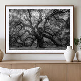 132944706-MGV-CV-36X24-Ancient Tree Wall Art – Black and White Photography Canvas Print Featuring Majestic Twisting Branches, Rustic Nature Artwork for