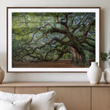 MGC-FP-36x24 - Historic Tree Wall Art Canvas Print, Framed Mossy Tree Art Picture Print, Twisted Branches Perfect Nature Southern Decor Artwork