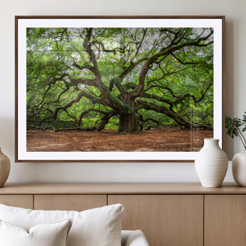 51255351-MGV-CV-36X24-Ancient Tree Wall Art – Majestic Oak Canvas Print, Large Nature Photography, Sacred Forest Landscape Wall Décor, Wisdom Tree