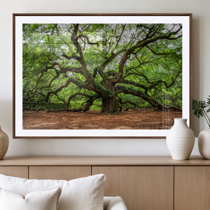 51255351-MGV-CV-36X24-Ancient Tree Wall Art – Majestic Oak Canvas Print, Large Nature Photography, Sacred Forest Landscape Wall Décor, Wisdom Tree