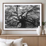 81655611-MGV-CV-36X24-Ancient Oak Wall Art Canvas Print, Framed Twisted Branches Art Picture Print, Gnarled Tree Perfect Moody Nature Decor Artwork