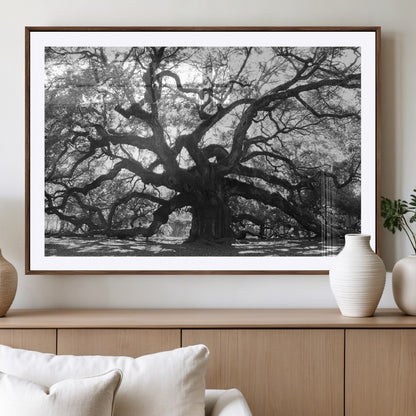 81655611-MGV-CV-36X24-Ancient Oak Wall Art Canvas Print, Framed Twisted Branches Art Picture Print, Gnarled Tree Perfect Moody Nature Decor Artwork
