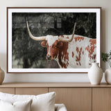 54027638-MGV-CV-36X24-Texas Longhorn Wall Art Canvas Print, Framed Spotted Cow Art Picture Print, Horned Bull Perfect Rustic Western Decor Artwork