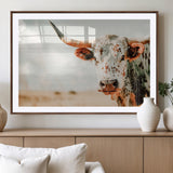 72766375-MGV-CV-36X24-Texas Longhorn Wall Art Canvas Print, Framed Spotted Cow Art Picture Print, Horned Cattle Perfect Rustic Western Decor Artwork