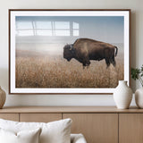 91267849-MGV-CV-36X24-Wild Bison Wall Art Canvas Print, Framed Bison in Prairie Art Picture Print, Rustic Western Perfect Rustic Western Decor Artwork