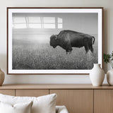 28435251-MGV-CV-36X24-Bison In Prairie Wall Art Canvas Print, Framed Rustic Wildlife Art Picture Print, Wild Buffalo Perfect Rustic Western Decor
