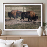 58141885-MGV-CV-36X24-Bison Photography Wall Art Canvas Print, Framed Western Wildlife Art Picture Print, Modern Ranch Perfect Western Rustic Decor