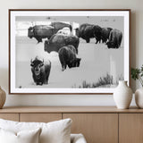 18914414-MGV-CV-36X24-Buffalo Herd Wall Art Canvas Print, Framed Black and White Art Picture Print, Snowy Landscape Perfect Rustic Lodge Decor Decor