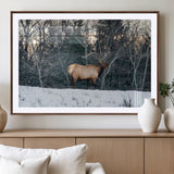 36533178-MGV-CV-36X24-Wild Elk Photography Wall Art Canvas Print, Framed Winter Wildlife Art Picture Print, Snowy Forest Perfect Rustic Lodge Decor