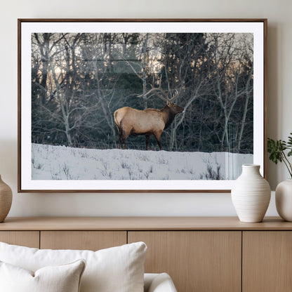 36533178-MGV-CV-36X24-Wild Elk Photography Wall Art Canvas Print, Framed Winter Wildlife Art Picture Print, Snowy Forest Perfect Rustic Lodge Decor