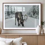 13316292-MGV-CV-36X24-Moose in Snow Wall Art Canvas Print, Framed Winter Wildlife Art Picture Print, Snowy Forest Scene Perfect Rustic Lodge Decor