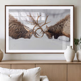 99240306-MGV-CV-36X24-Elk Wall Art – Two Bull Elk Fighting in Snow Canvas Print, Rustic Wildlife Artwork for Cabin, Lodge, Western Farmhouse, Nature &