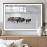 61161423-MGV-CV-36X24-Running Bison Herd Wall Art – Winter Buffalo Canvas Print, Wildlife Photography Decor for Rustic Living Room, Farmhouse, Lodge,