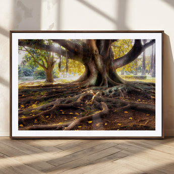 53335-MGC-FP-36x24_Walnut-Majestic Tree with Sprawling Roots Wall Art – Serene Sunlit Park Scene, Nature Canvas Print, Perfect for Living Room, Office or