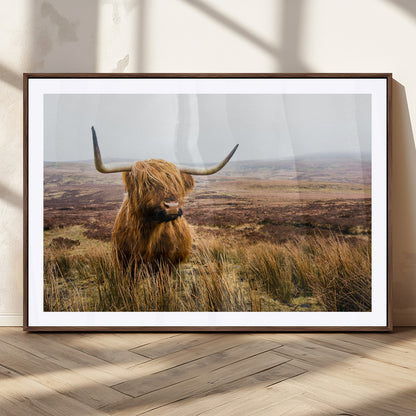 79391-MGC-FP-36x24_Walnut-Majestic Highland Cow in Misty Scottish Moorland – Rustic Natural Charm, Perfect for Unique Home or Office Decor