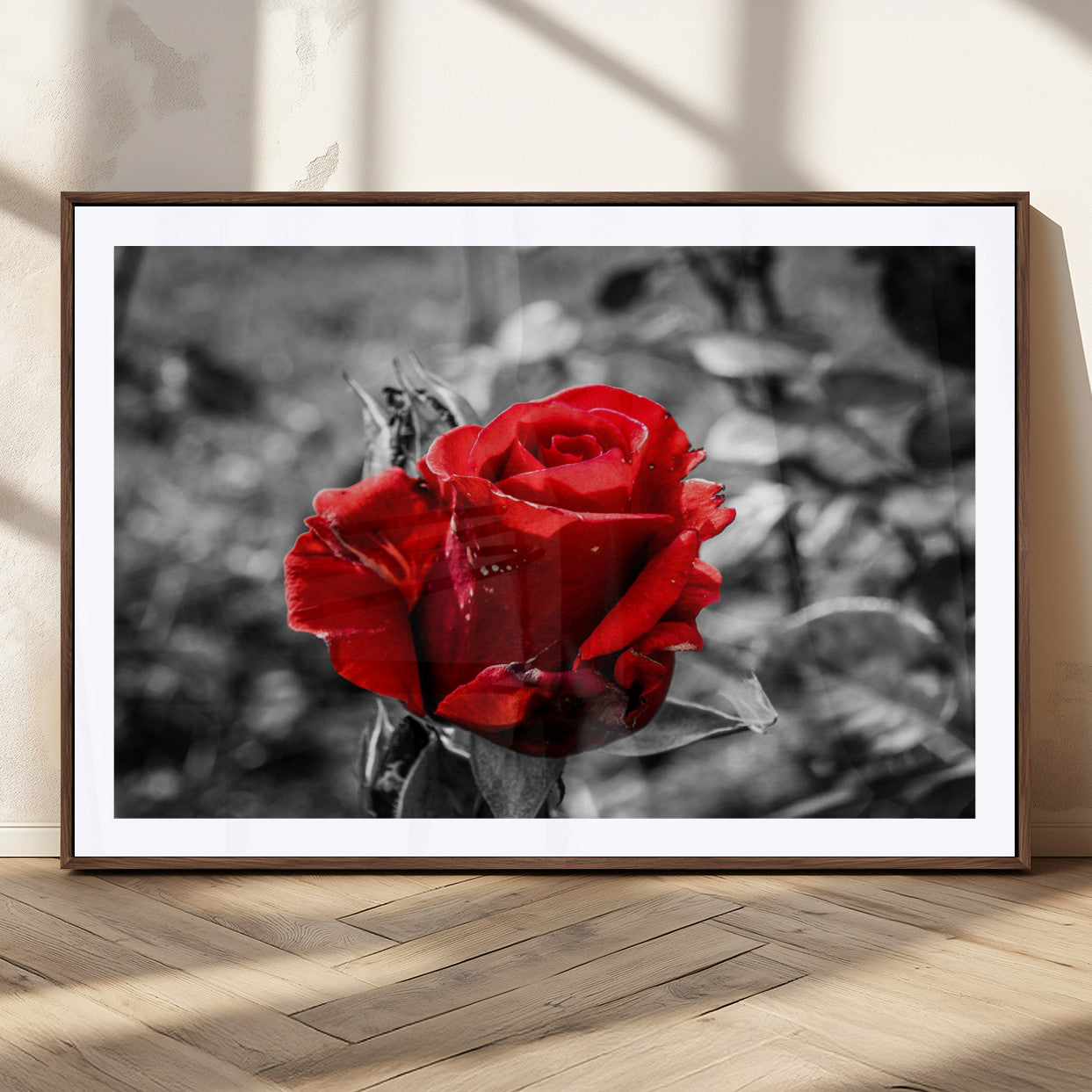 84671-MGC-FP-36x24_Walnut-Red Rose Wall Art – Vibrant Single Bloom Canvas Print with Black and White Background, Elegant Floral Decor for Living Room,