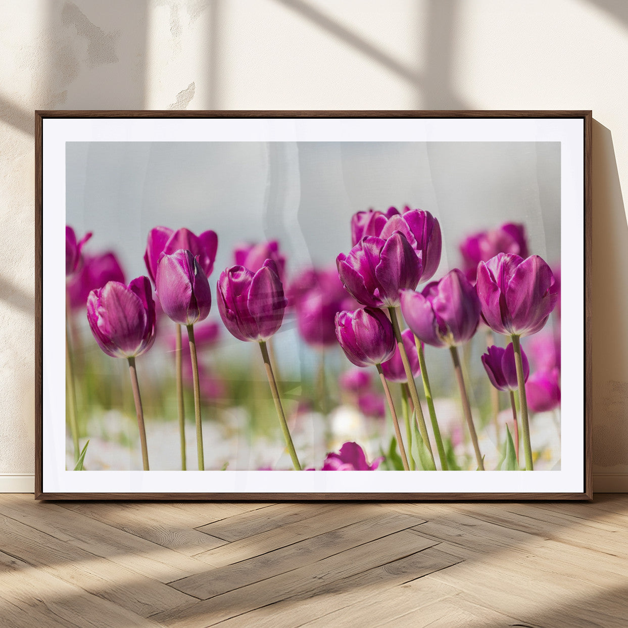 30632-MGC-FP-36x24_Walnut-Purple Tulip Field Wall Art – Beautiful Spring Flowers Canvas Print with Soft Focus and Bright Sky, Ideal Floral Decor for Home or